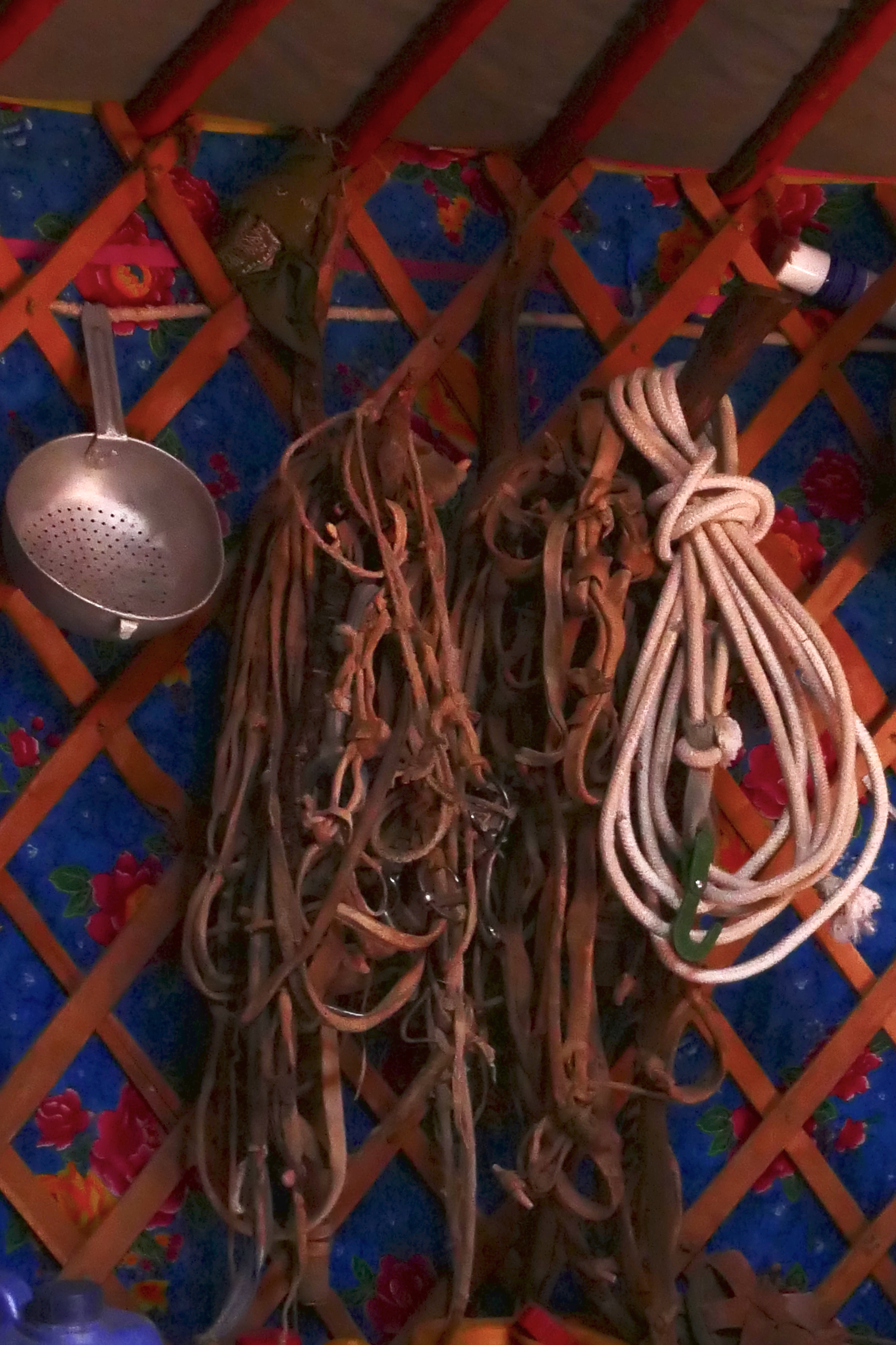 Mongolia: storing harnesses in the ger